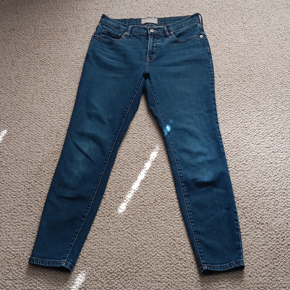 Everlane The Mid-Rise Skinny Stretch Jeans in Indigo Size 29